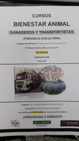 Imagen 'CURSOS BIENESTAR ANIMAL'