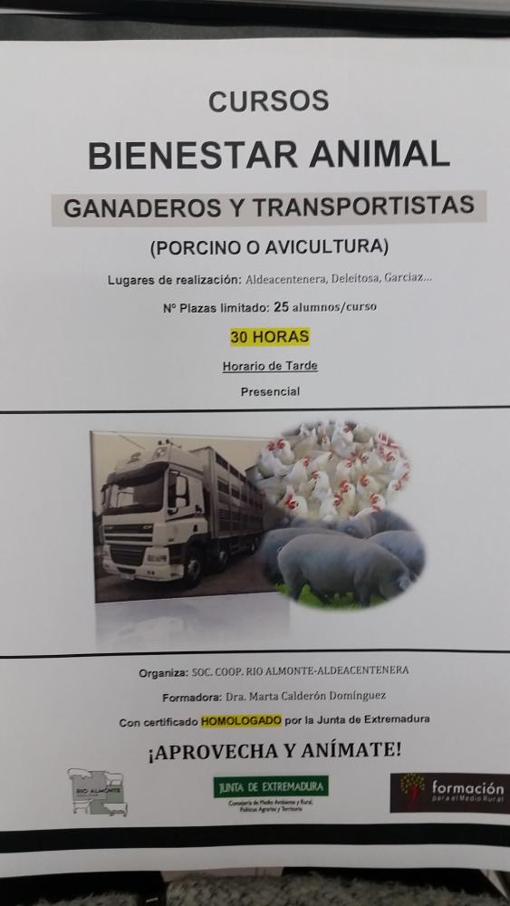 Imagen 'CURSOS BIENESTAR ANIMAL'