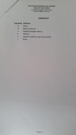 Imagen ADJUDICACION DE ARBOLES Y ARBUSTOS, CAMPAÑA ARBOLADO, DIPUTACION DE CACERES 