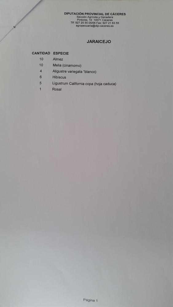 Imagen ADJUDICACION DE ARBOLES Y ARBUSTOS, CAMPAÑA ARBOLADO, DIPUTACION DE CACERES 