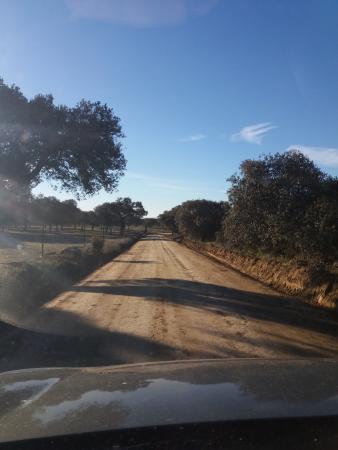 Imagen ARREGLO CAMINO DE LA COSTERA