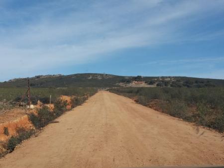 Imagen ARREGLO CAMINO DE CANTALGALLO