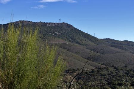 Imagen Pico Miravete